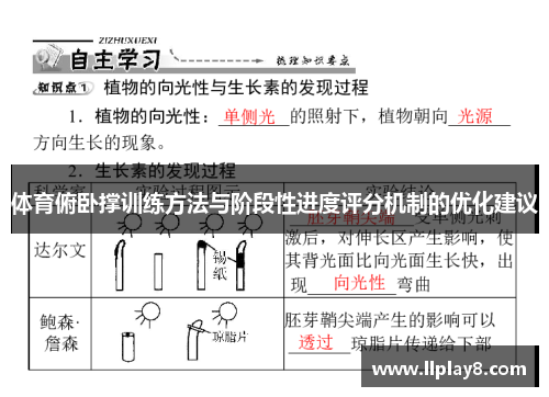 体育俯卧撑训练方法与阶段性进度评分机制的优化建议